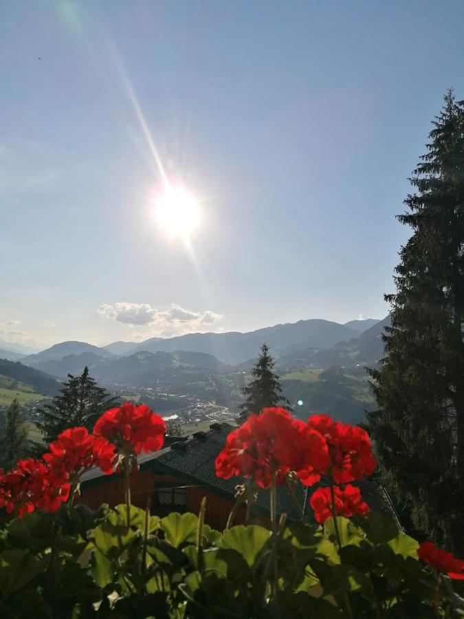 Ferienhaus Deutschmann St. Johann im Pongau Exterior foto